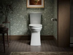 ReadyLatch® Quiet-Close™ elongated toilet seat^Kohler Discount