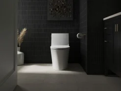 ReadyLatch® Quiet-Close™ elongated toilet seat^Kohler Discount
