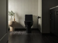 ReadyLatch® Quiet-Close™ elongated toilet seat^Kohler Discount
