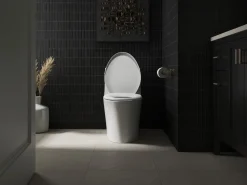 ReadyLatch® Quiet-Close™ elongated toilet seat^Kohler Discount