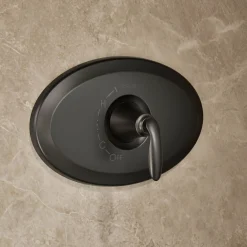 Remodel Rite-Temp® shower trim kit, 1.75 gpm^Kohler New