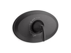 Remodel Rite-Temp® valve trim^Kohler Best