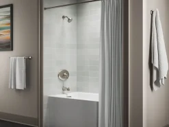 Remodel Rite-Temp® valve trim^Kohler Best