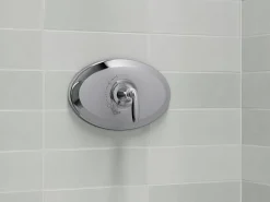 Remodel Rite-Temp® valve trim^Kohler Best