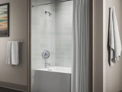 Remodel Rite-Temp® valve trim^Kohler Best