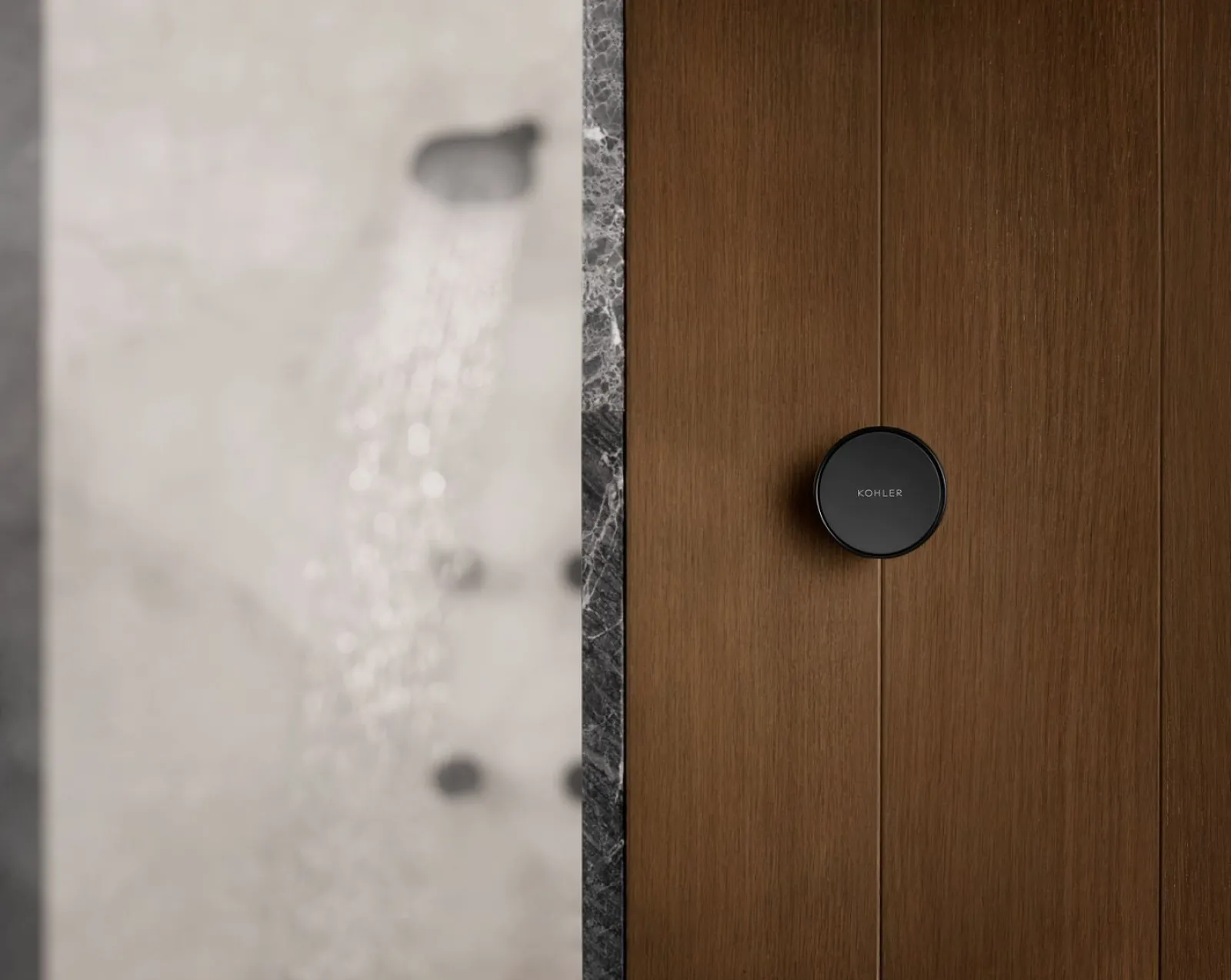 Remote on/off button for digital thermostatic valve^Kohler New