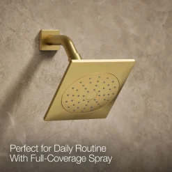 Rite-Temp® shower trim kit, 1.75 gpm^Kohler New