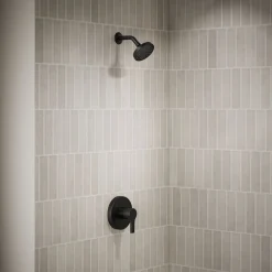 Rite-Temp® shower trim kit, 2.5 gpm^Kohler Outlet