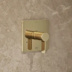 Rite-Temp® shower trim kit, 2.5 gpm^Kohler Hot