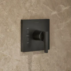 Rite-Temp® shower trim kit, without showerhead^Kohler Best