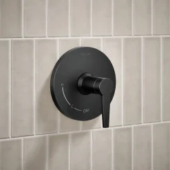 Rite-Temp® shower trim kit, without showerhead^Kohler Discount