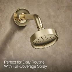Rite-Temp® shower trim kit with lever handle, 1.75 gpm^Kohler Discount