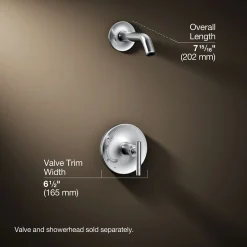 Rite-Temp® shower trim kit with lever handle, without showerhead^Kohler Outlet