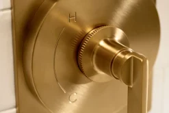 Rite-Temp® shower trim kit, without showerhead^Kohler Best