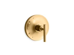 Rite-Temp® valve trim with lever handle^Kohler Best
