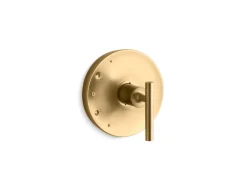 Rite-Temp® valve trim with lever handle^Kohler Best