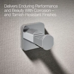Robe hook^Kohler Best