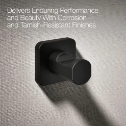 Robe hook^Kohler Best