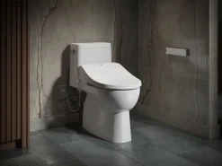 Round-front bidet toilet seat with remote control^Kohler Best