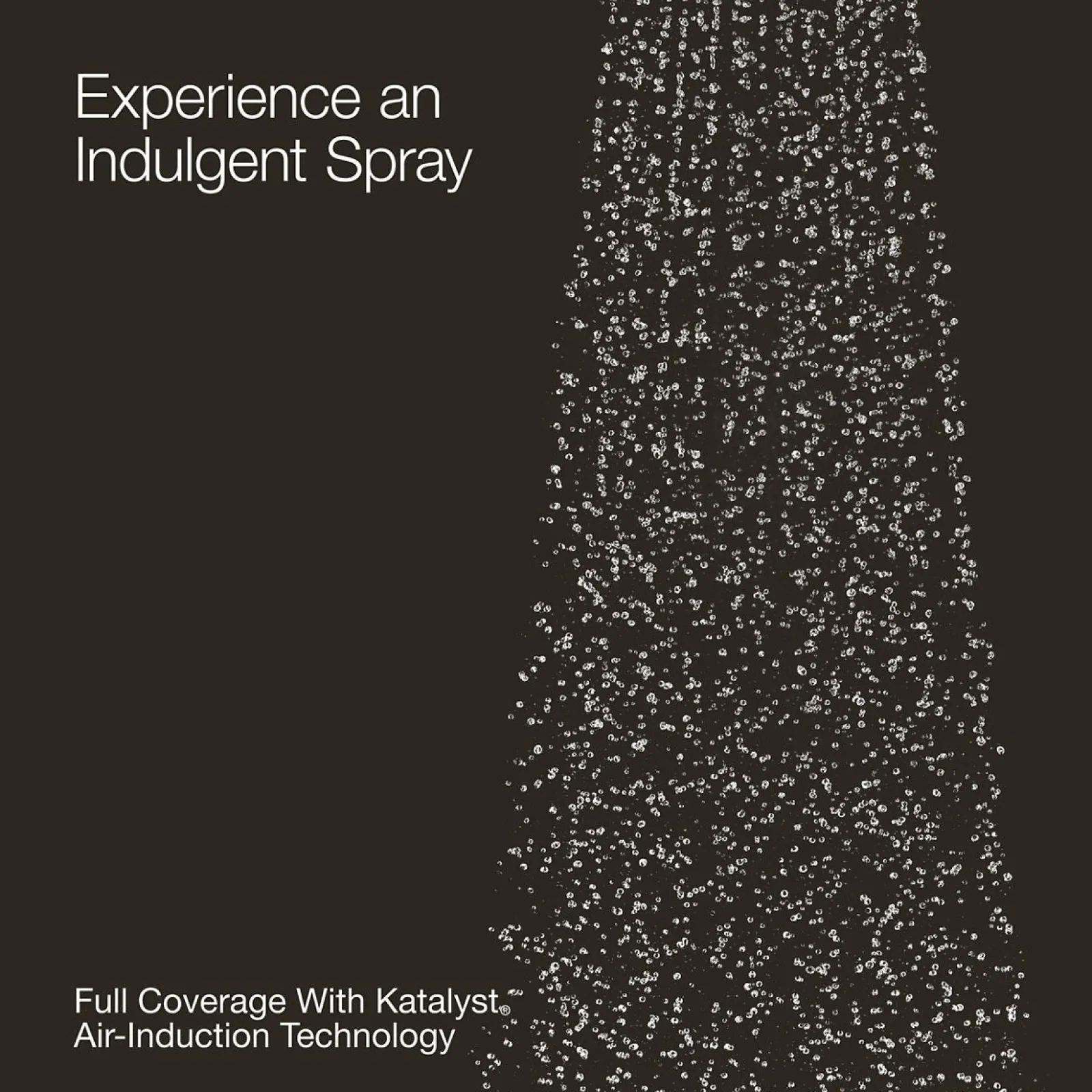 Round 27-nozzle single-function body spray, 1.0 gpm^Kohler Outlet