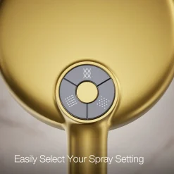 Round three-function handshower, 2.5 gpm^Kohler New