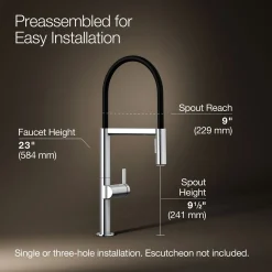 Semi-professional kitchen sink faucet with two-function sprayhead^Kohler Best
