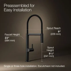 Semi-professional kitchen sink faucet with two-function sprayhead^Kohler Best
