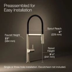 Semi-professional kitchen sink faucet with two-function sprayhead^Kohler Best