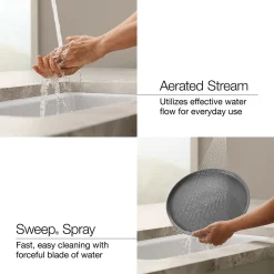 Semi-professional kitchen sink faucet with two-function sprayhead^Kohler Best