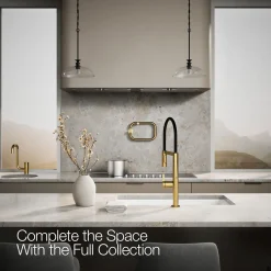 Semi-professional kitchen sink faucet with two-function sprayhead^Kohler Best