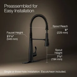 Semi-professional kitchen sink faucet with three-function sprayhead^Kohler Best