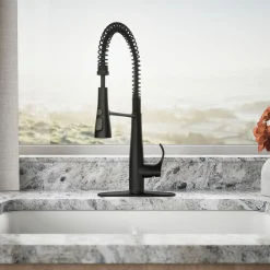Semi-professional kitchen sink faucet with three-function sprayhead^Kohler Best