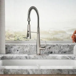 Semi-professional kitchen sink faucet with three-function sprayhead^Kohler Best
