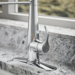 Semi-professional kitchen sink faucet with three-function sprayhead^Kohler Best