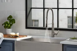 Semi-professional kitchen sink faucet with three-function sprayhead^Kohler Best