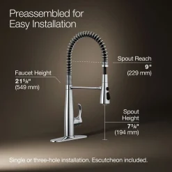 Semi-professional kitchen sink faucet with three-function sprayhead^Kohler Best