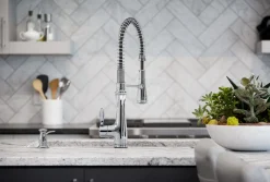 Semi-professional kitchen sink faucet with three-function sprayhead^Kohler