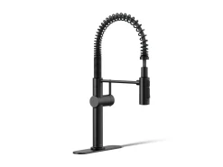 Semi-professional kitchen sink faucet with three-function sprayhead^Kohler New