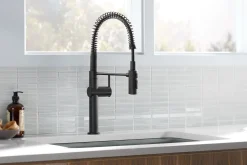 Semi-professional kitchen sink faucet with three-function sprayhead^Kohler New