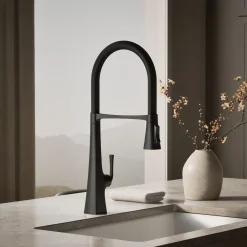 Semi-professional kitchen sink faucet with three-function sprayhead^Kohler New