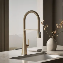 Semi-professional kitchen sink faucet with three-function sprayhead^Kohler New