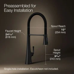 Semi-professional kitchen sink faucet with three-function sprayhead^Kohler New