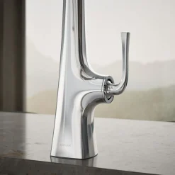 Semi-professional kitchen sink faucet with three-function sprayhead^Kohler New