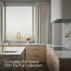 Semi-professional pull-down kitchen sink faucet with three-function sprayhead^Kohler Hot