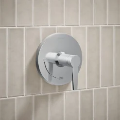 Showering kit, 2.5 gpm^Kohler