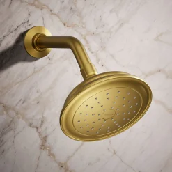 Single-function showerhead, 2.5 gpm^Kohler Outlet