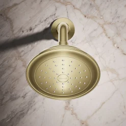 Single-function showerhead, 2.5 gpm^Kohler Outlet