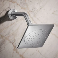 Single-function showerhead, 2.5 gpm^Kohler Sale