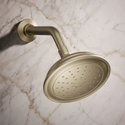 Single-function showerhead, 1.75 gpm^Kohler Outlet