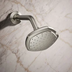 Single-function showerhead, 2.5 gpm^Kohler Online